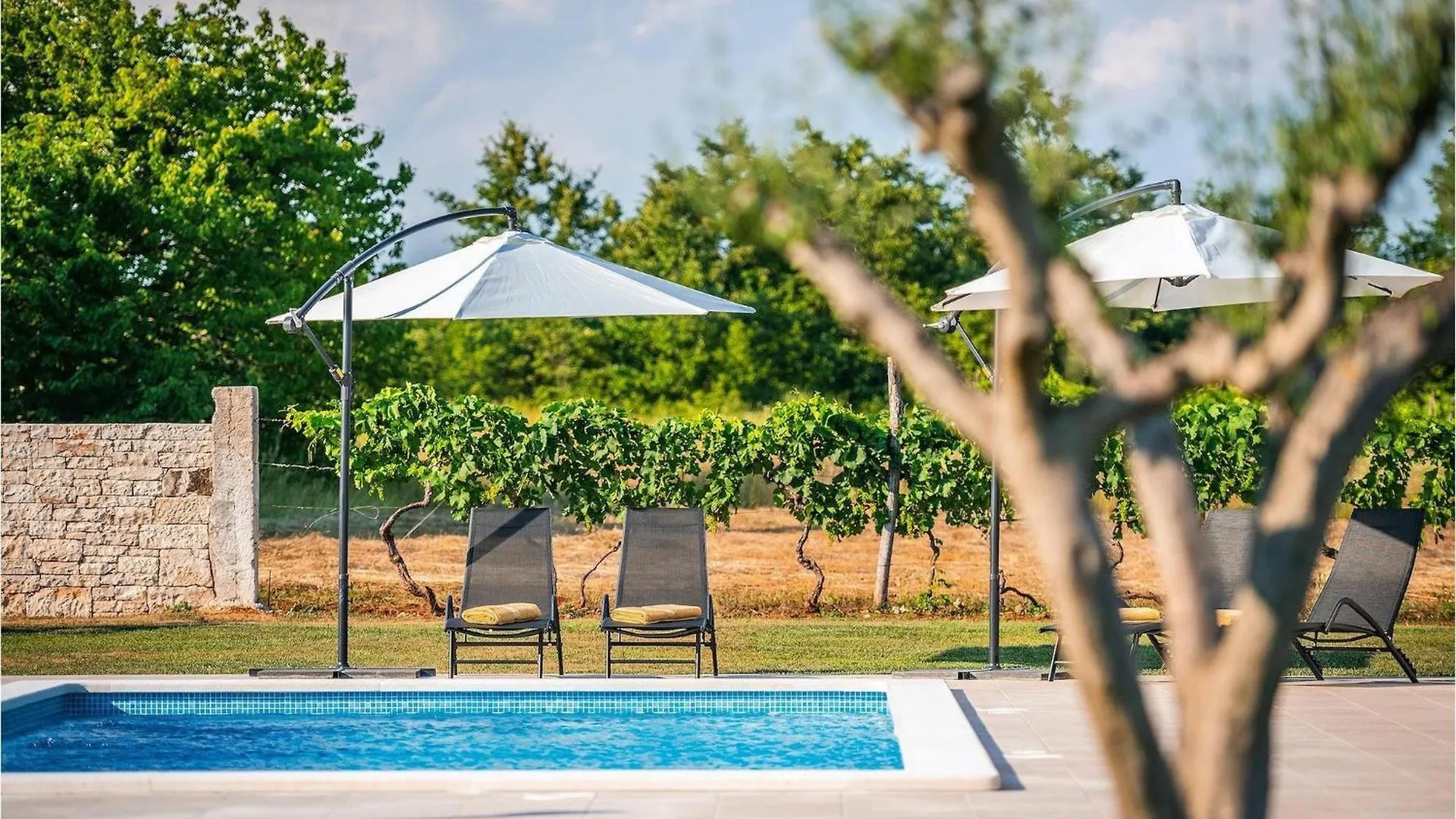 Prázdninový dům Villa Vitis Vitae Peresiji